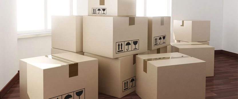 top packers and movers in Lucknow