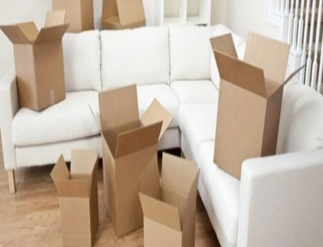 Professional Packers and Movers in Lucknow