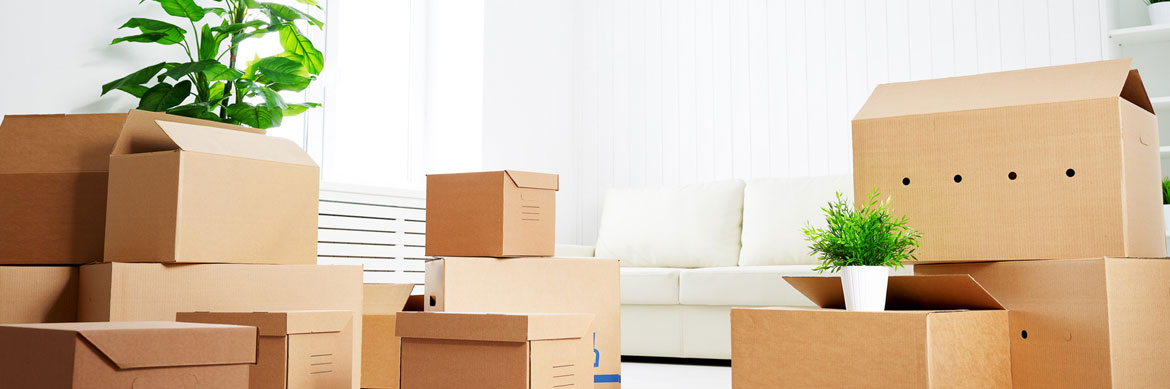 Packers and Movers in Lucknow